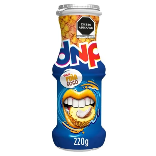 DANUP PIÑA COCO GRANDE 350G