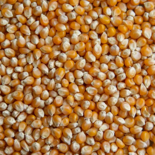 MAIZ PALOMERO BOLSITA DE 250G