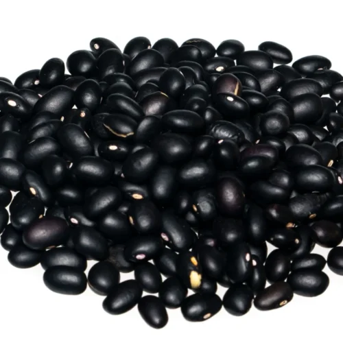 FRIJOL NEGRO