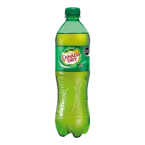 CANADA DRY GINGER ALE 600ML