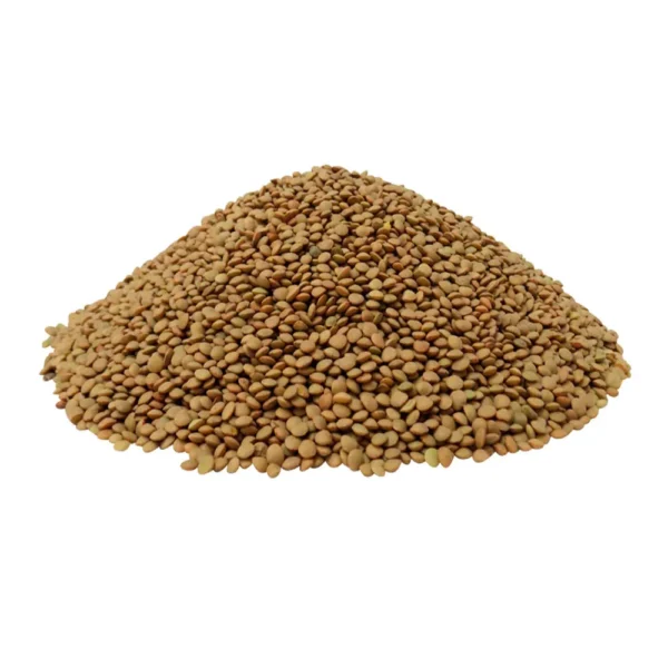 LENTEJA 1KG